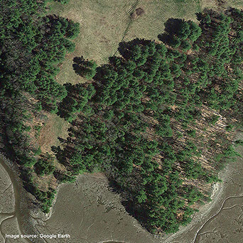 A satellite photo image of an area that is partially obscured with vegetation.